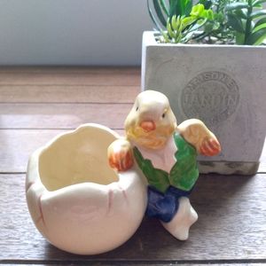 Derpy Looking Chick Miniature Planter/Container